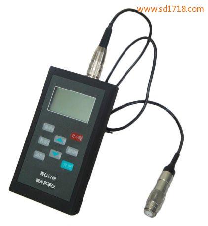 涂層測厚儀(磁性+渦流兩用)CTG260